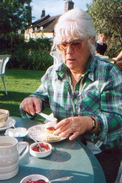 {short description of image}