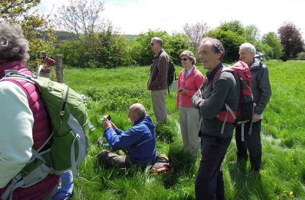 Painswick Beacon