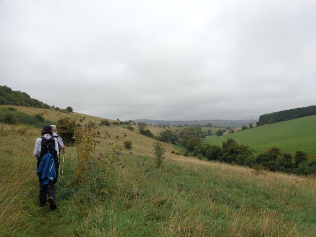 Along Coldwell Bottom.