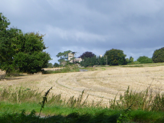 Countryside with harvested fields and distant trees