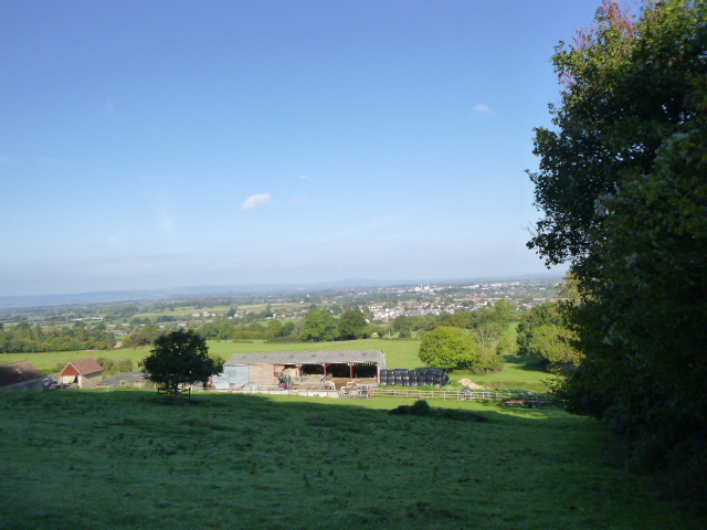 Countryside view with farm buildings and trees.