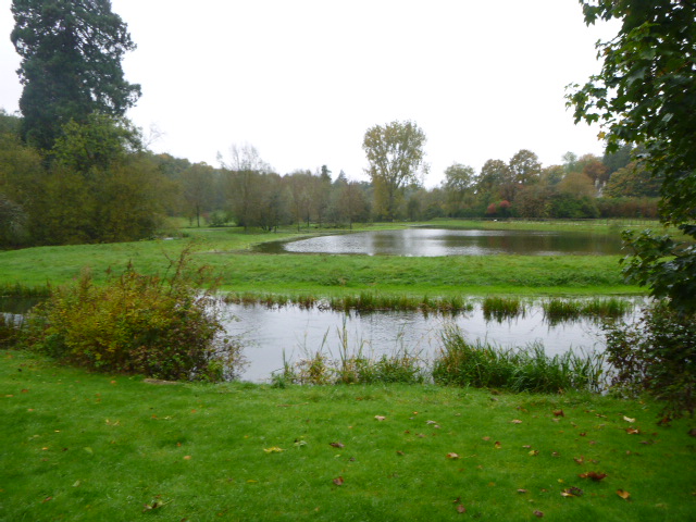 Peaceful park with trees and small pond.