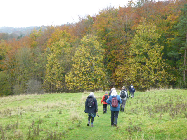 Group hiking through autumn forest.