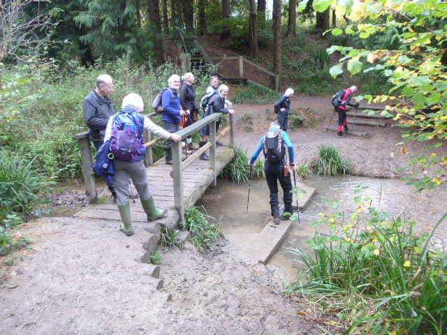 Group hiking across a small footbridge in forest