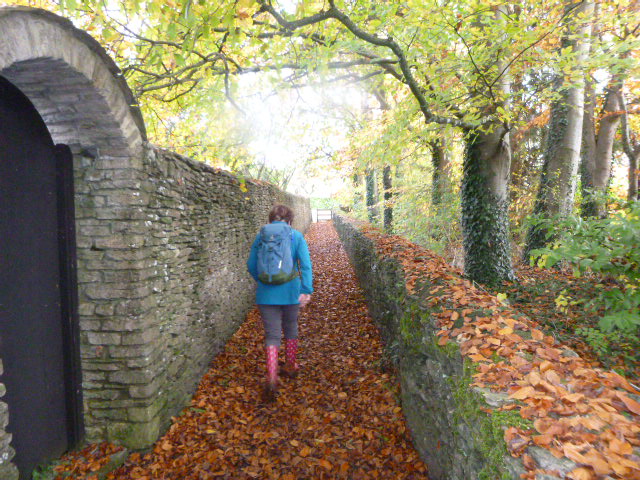 Person walking on leaf-covered path in autumn forest.