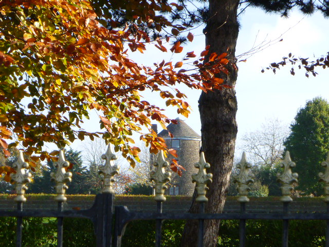 Autumn leaves near ornate metal fence and tower.