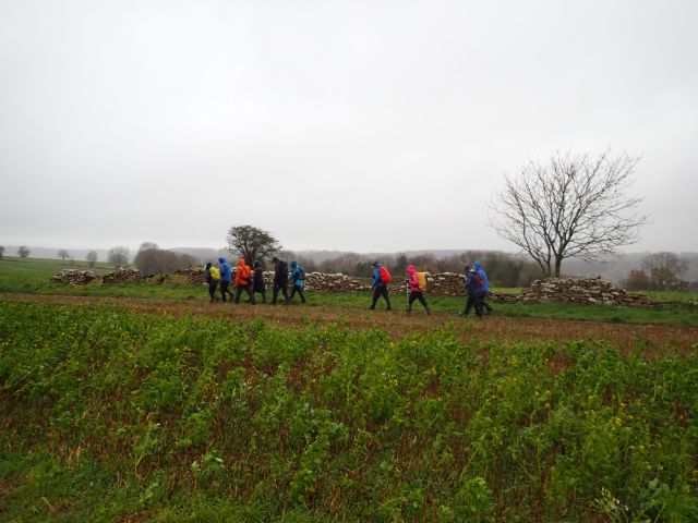 Group walking through countryside on a cloudy day.