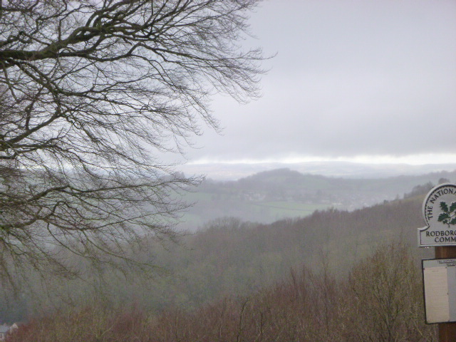 Foggy rural landscape with trees and distant hills.