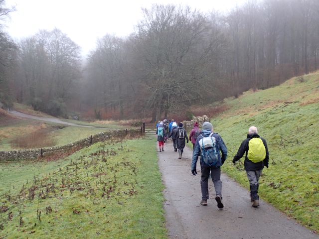 Hikers walking in misty countryside trail.