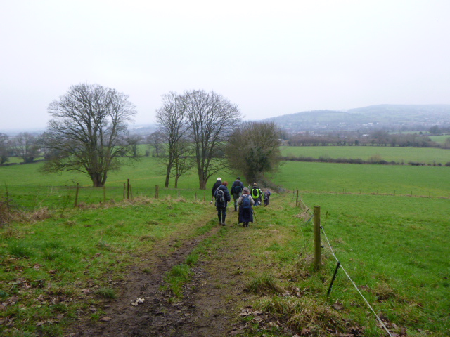 Hikers walking on muddy countryside trail.