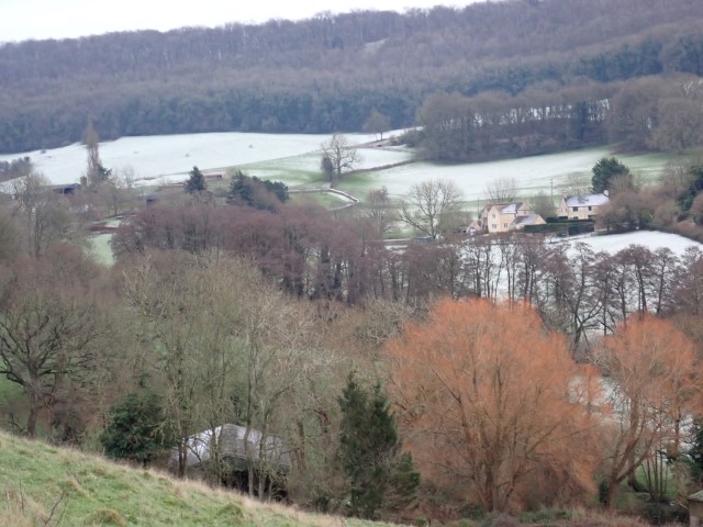 Wintery rural landscape with frosty fields and trees.