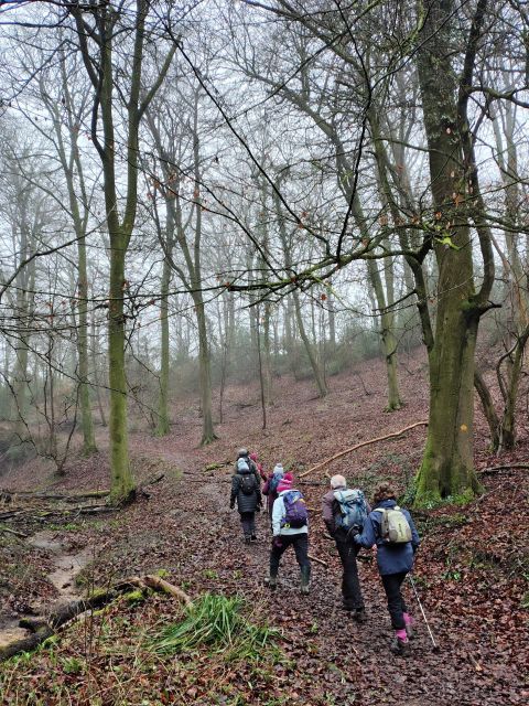 Hikers walking through misty woodland trail in autumn.