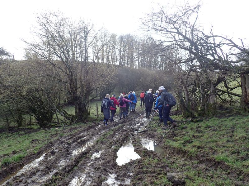 People hiking through a muddy countryside trail.