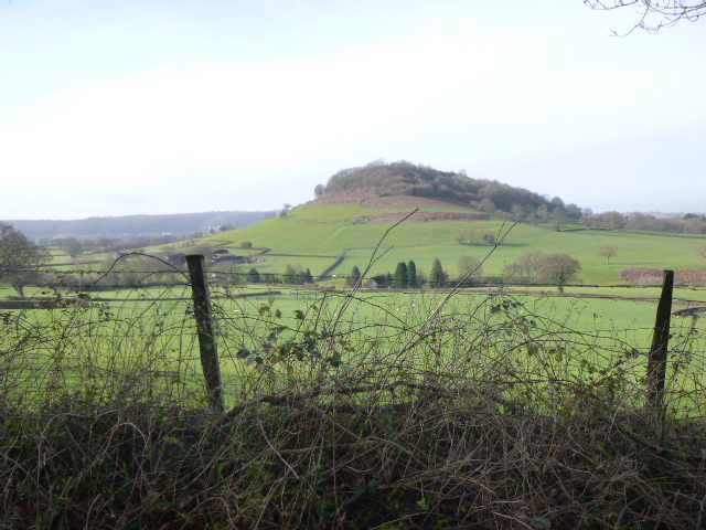 Green hillside with sparse trees and fencing.