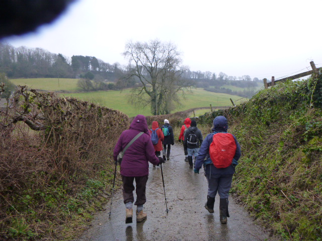 Group hiking on countryside trail in rainy weather.