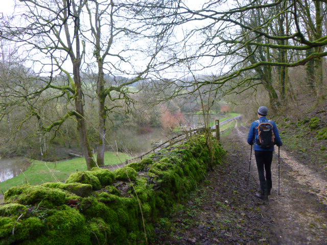 Person hiking along a mossy woodland path.