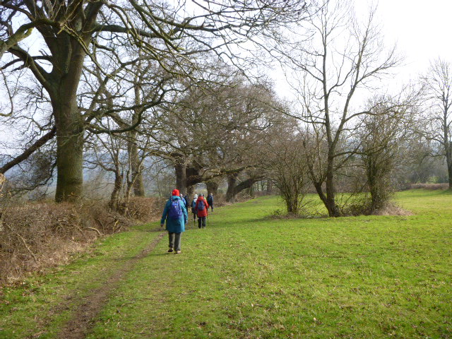 People hiking through a wooded path in winter.