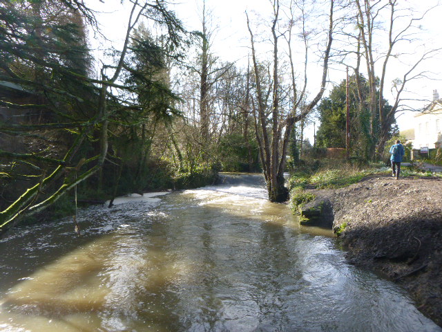 Peaceful river scene with trees and person walking.