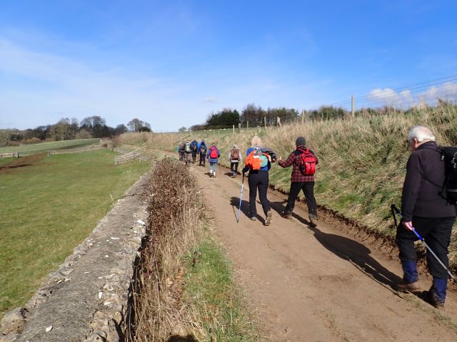 Group hiking along rural path on sunny day.