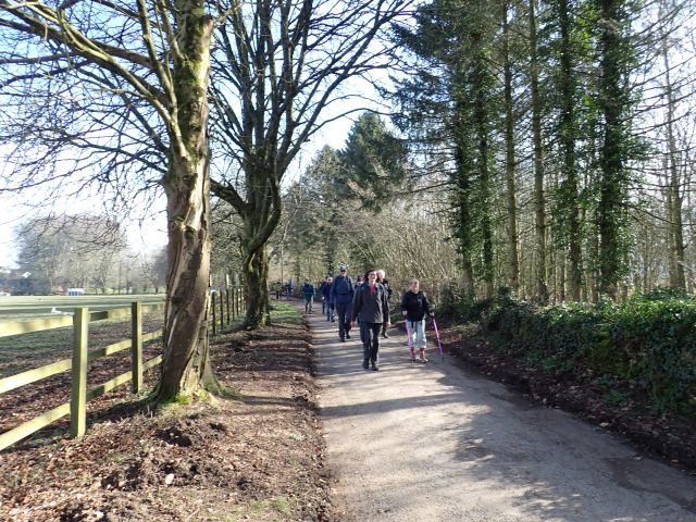 People walking on a sunny path in nature.